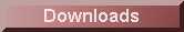 Bible Downloads